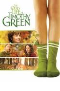 The Odd Life of Timothy Green